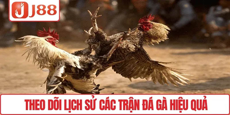 Theo dõi lịch sử các trận đá gà hiệu quả